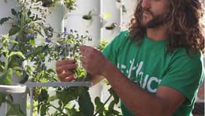 The Farm Project
