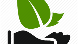 ServiceSeed
