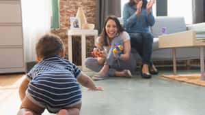 The Baby Box Co.