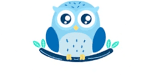 Blue Owl (previously known as Acorn)