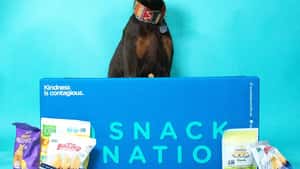 SNACKNATION