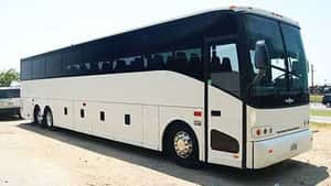 Statewide Coach