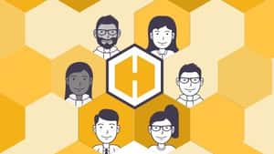 Hive Network