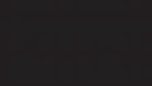 BitTorrent