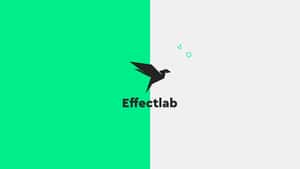 Effectlab Digital Marketing Agency