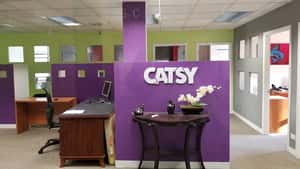 Catsy