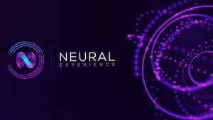 Neural Experience (NX)