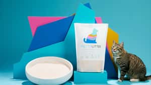 PrettyLitter