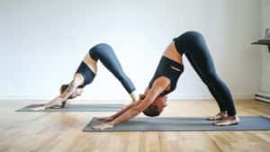 IndiFit