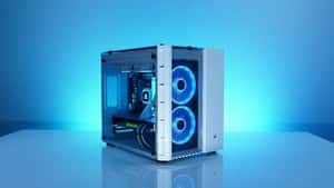 Newegg