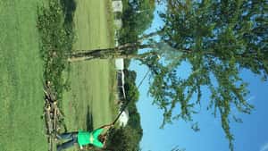 Luby Tree Service