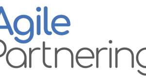 Agile Partnering