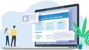 MjSeo Agency