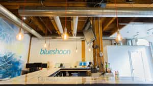Blueshoon, inc.