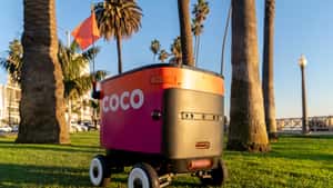 Coco