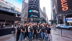 Mesh Payments