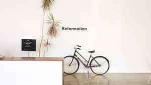 Reformation