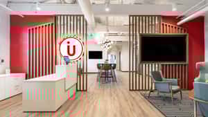 Ideas United