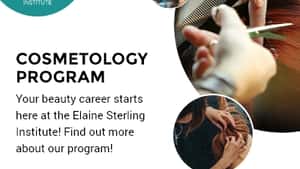 Elaine Sterling Institute