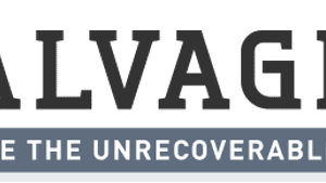 SalvageData