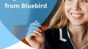 Bluebird International
