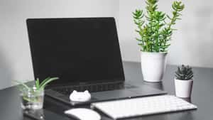 Marketing Sprouts