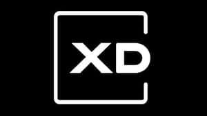 XDMinds
