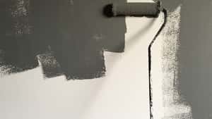 Vanguard Painting Ltd