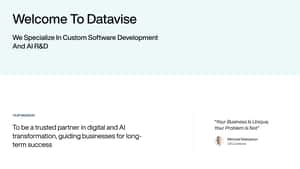Datavise