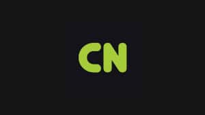 Capital Numbers Infotech
