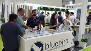 Bluebird Solar