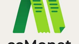 cc:Monet Accounting Services Singapore