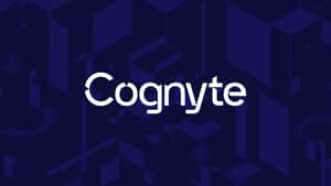 Cognyte