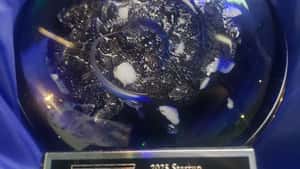 Frankenbuild Ventures