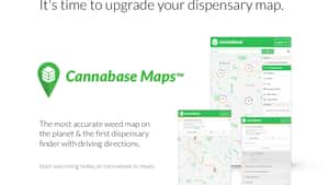 Cannabase