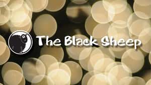 The Black Sheep