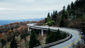 Twisted Road