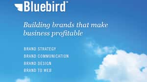 Bluebird Branding