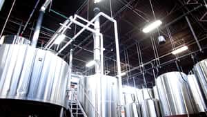 Revolution Brewing