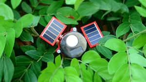 Edyza Sensors Inc.