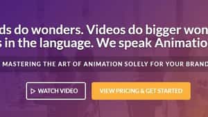 Video Animation INC