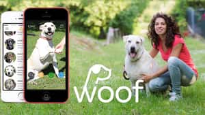 Woof Rescue App