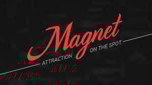 Magnet