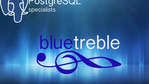 Blue Treble Solutions LLC