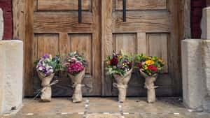 Flowers for Dreams