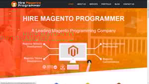 Hire Magento Programmer