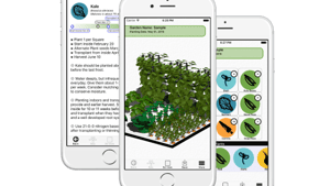 GrowSquared