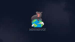Moonduck Studios & Agency