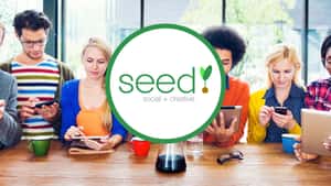 Seed Social + Creative