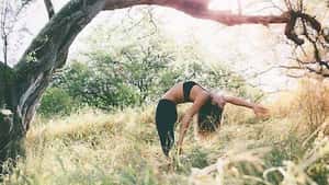 Seek Retreat